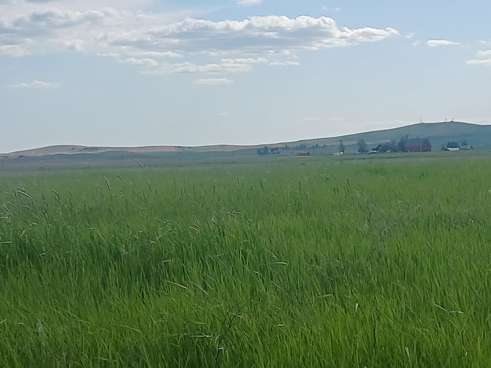 295-xx West Hallett Road Medical Lake, WA 99022 - Photo 16 of 39