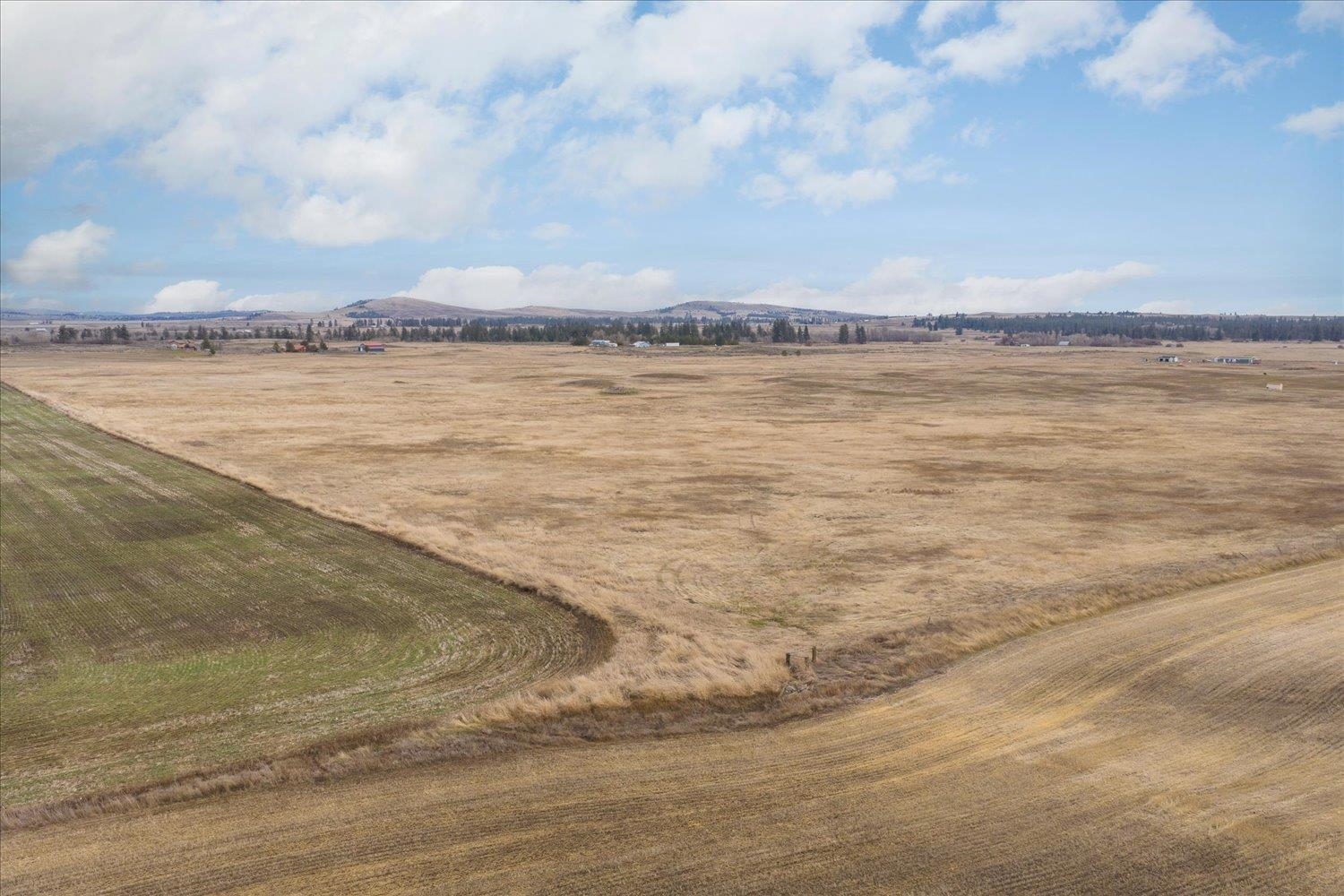 295-xx West Hallett Road Medical Lake, WA 99022 - Photo 17 of 39