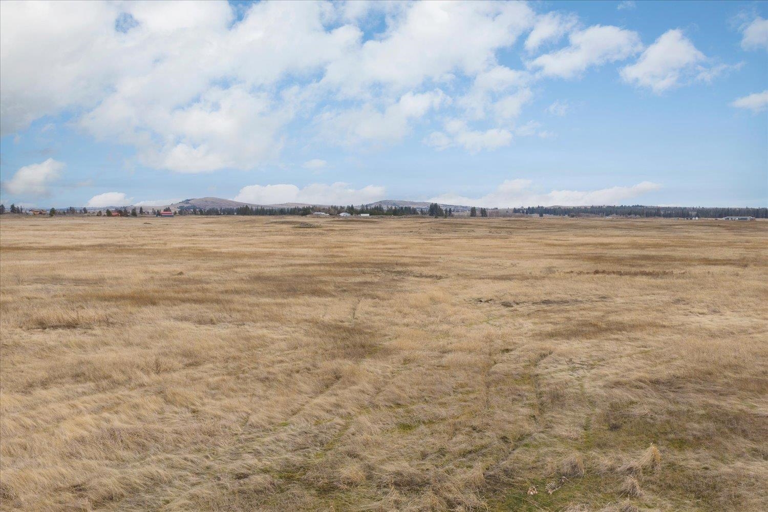 295-xx West Hallett Road Medical Lake, WA 99022 - Photo 18 of 39