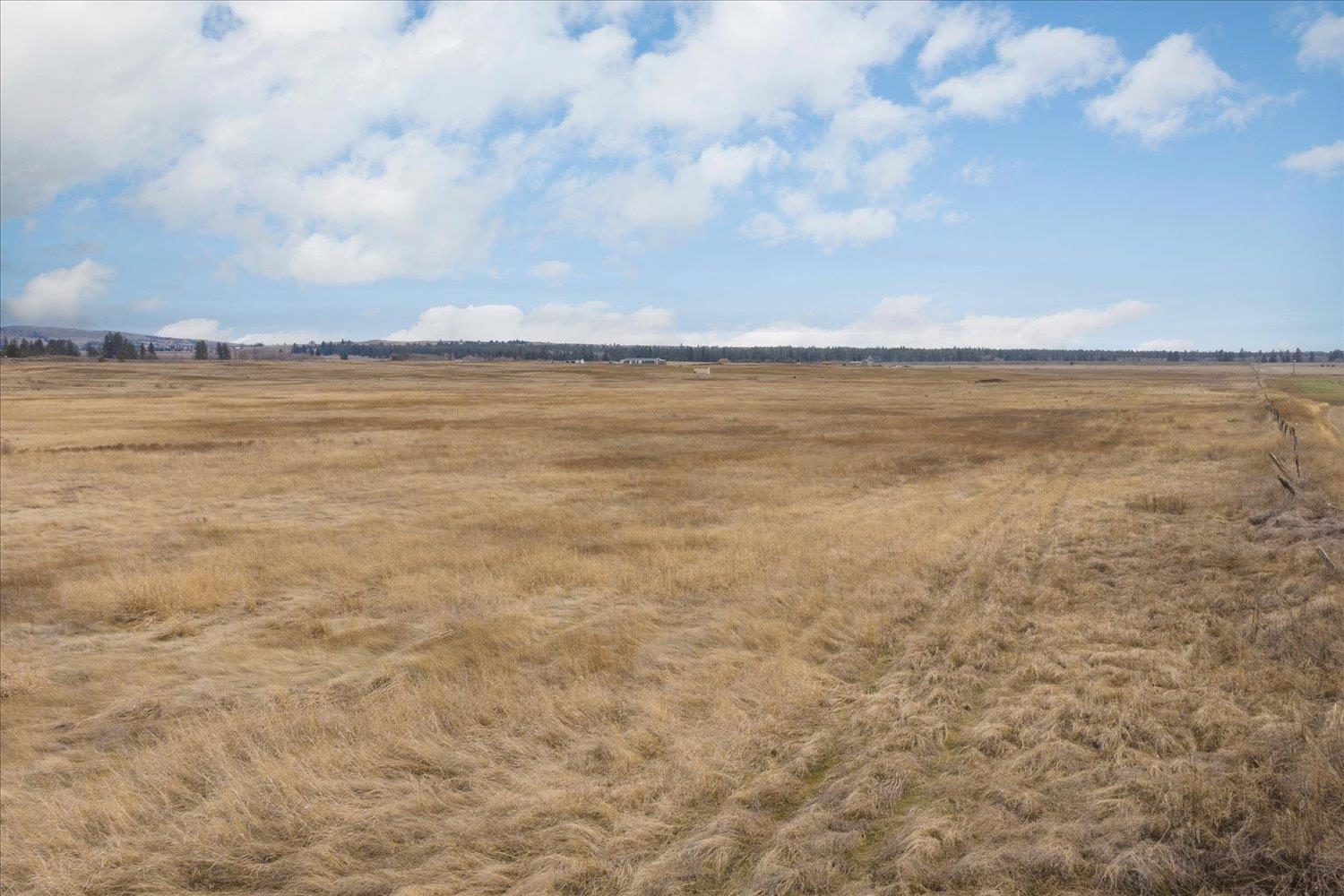 295-xx West Hallett Road Medical Lake, WA 99022 - Photo 20 of 39