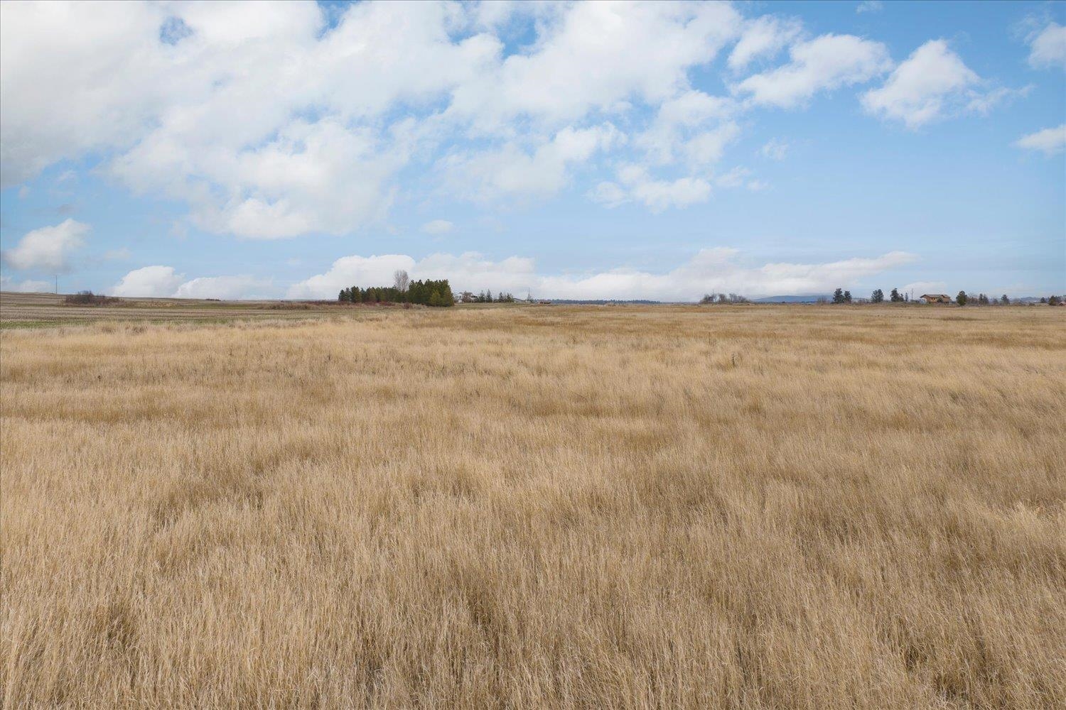 295-xx West Hallett Road Medical Lake, WA 99022 - Photo 21 of 39