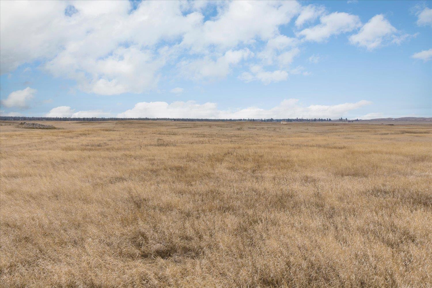 295-xx West Hallett Road Medical Lake, WA 99022 - Photo 22 of 39