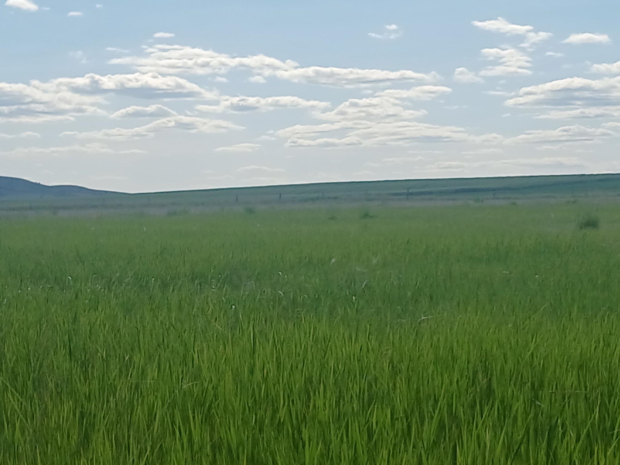 295-xx West Hallett Road Medical Lake, WA 99022 - Photo 32 of 39