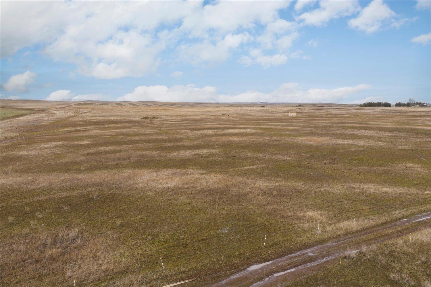 295-xx West Hallett Road Medical Lake, WA 99022 - Photo 5 of 39