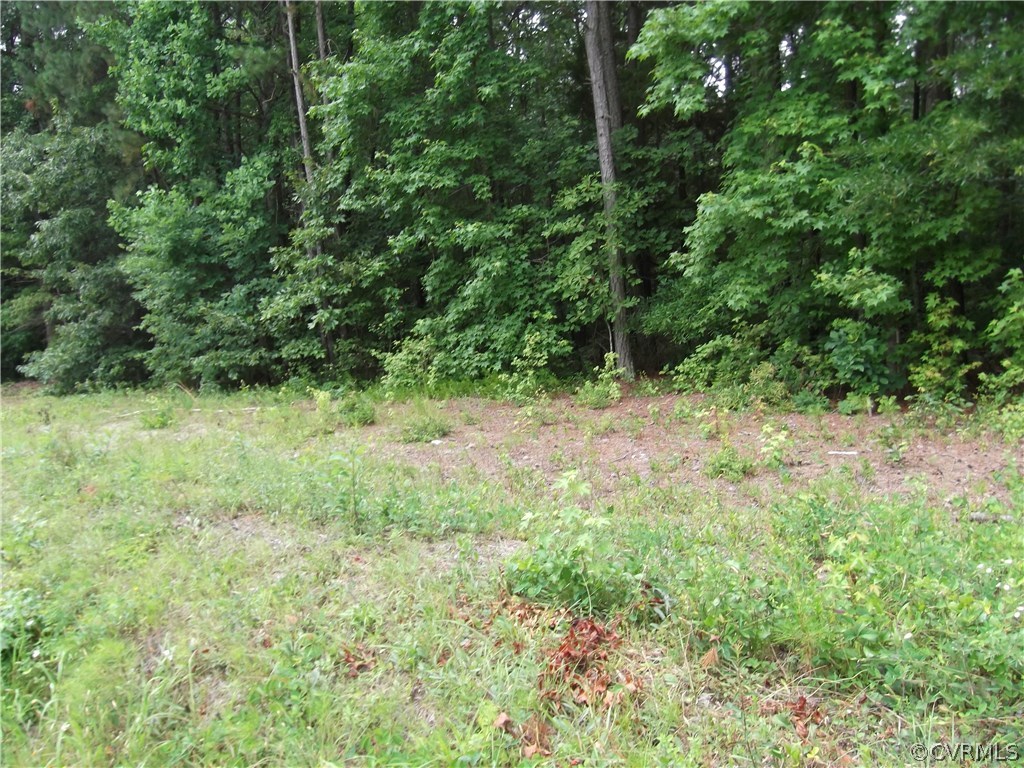 0 South Ridge Road Blackstone, VA 23824 - Photo 1 of 1 Gallery Image 1