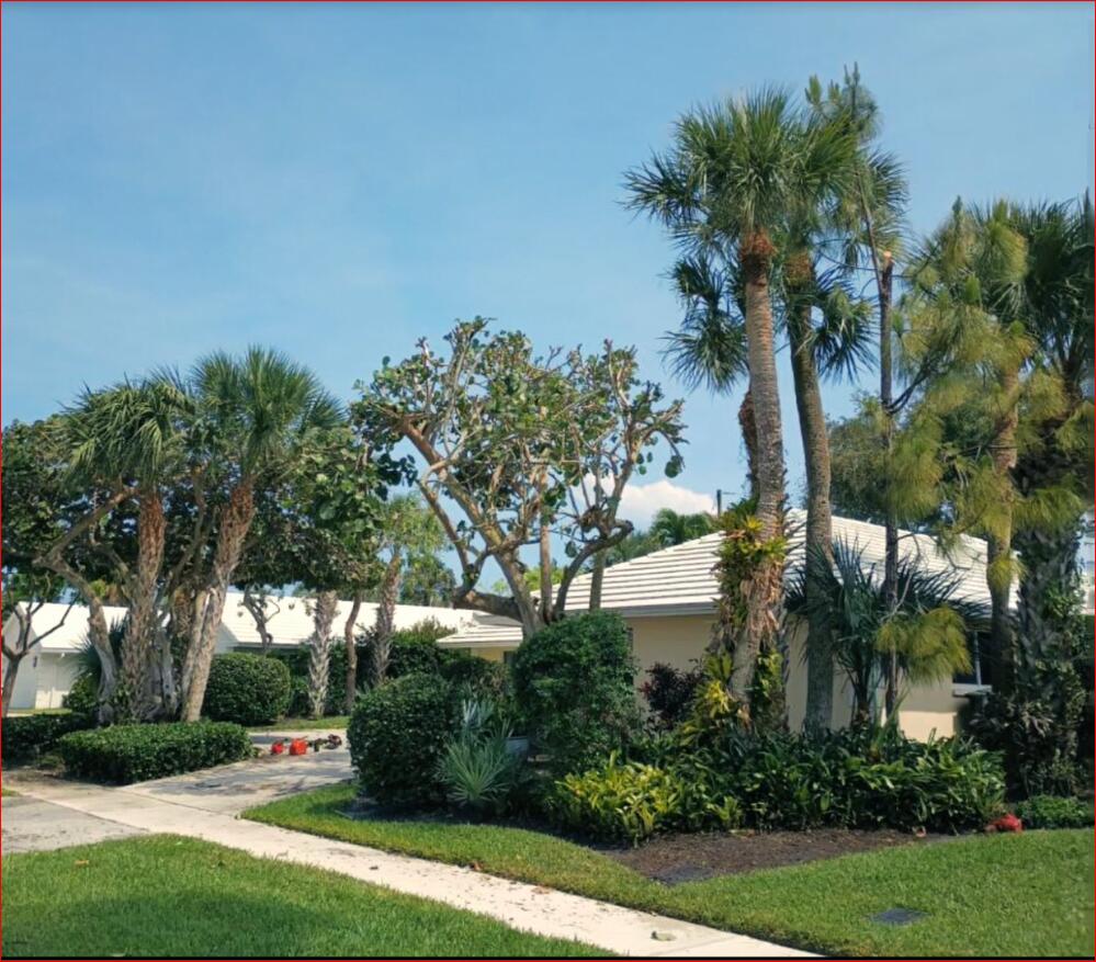 610 Juneberry Court Boca Raton, FL 33486 - Photo 3 of 11 a view of a yard with plants and trees