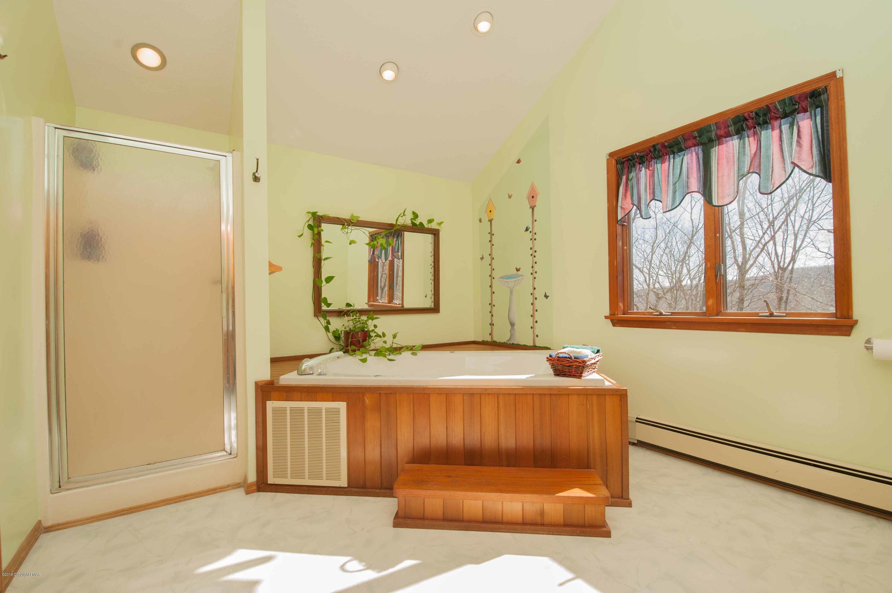 141 Radcliff Road Bushkill, PA 18324 - Photo 17 of 24 Master bath