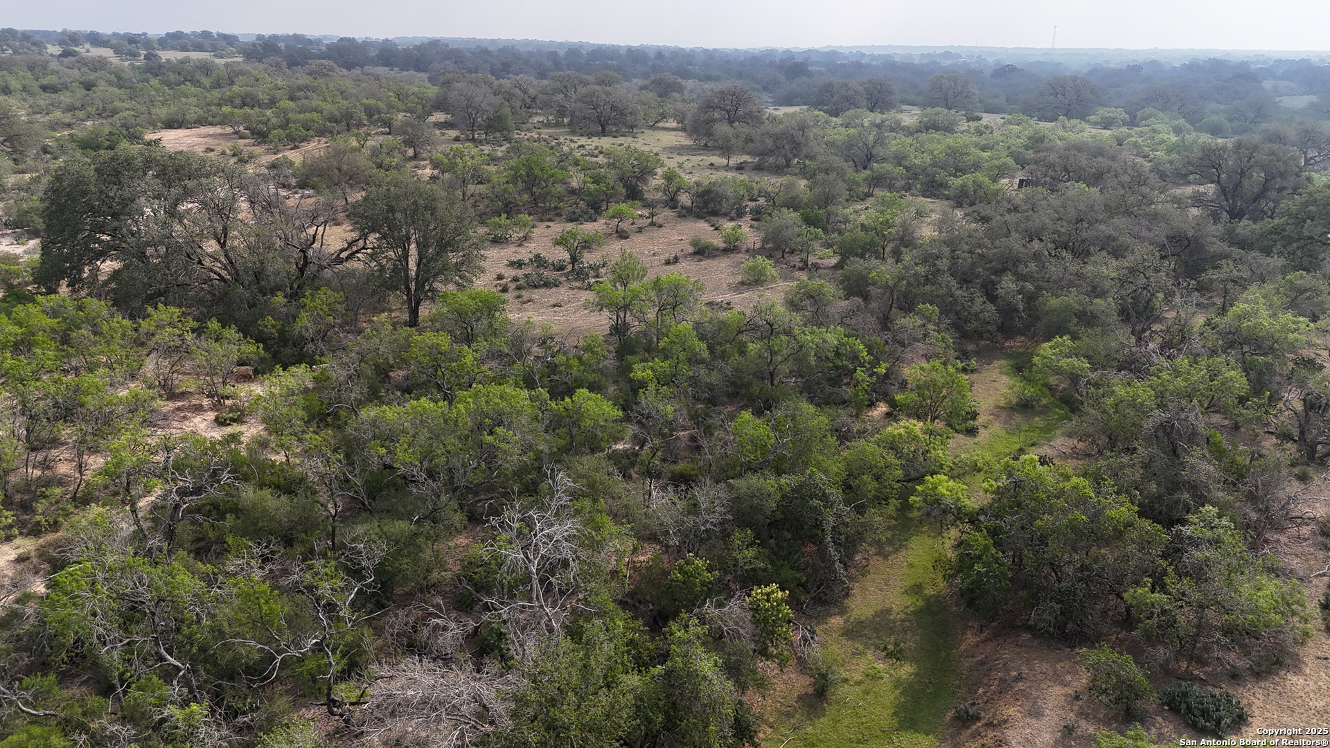 an aerial view of forest