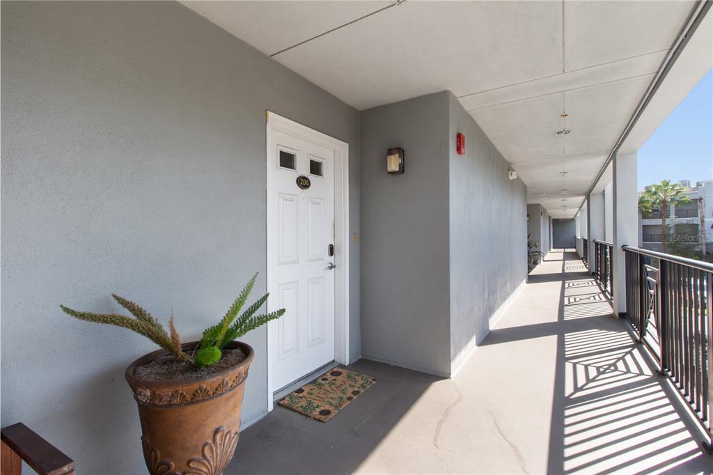 300 State Street East, Unit 206 Oldsmar, FL 34677 - Photo 18 of 23 a living room with furniture and potted plant
