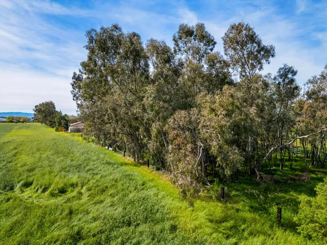 a view of a green field with lots of bushes