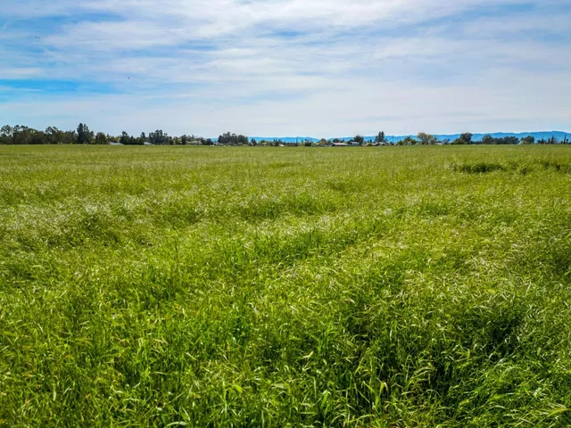 a view of a city and an ocean