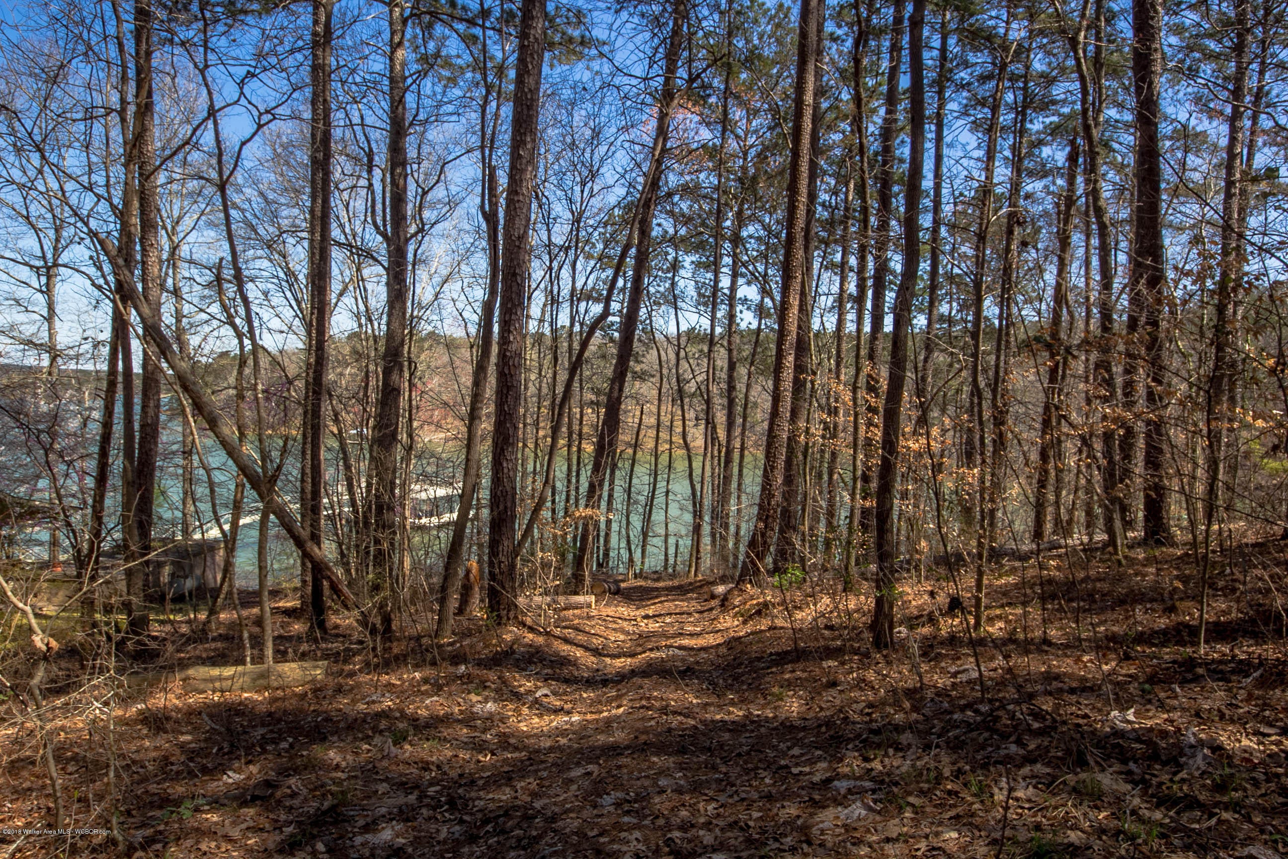 Lot 12 Co Road Jasper, AL 35503 - Photo 5 of 15 Gallery Image 5