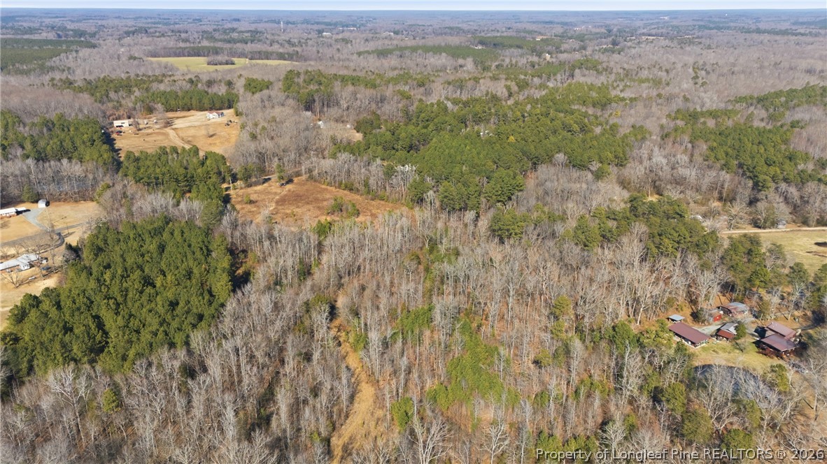 1600 Mt Willing Road Efland, NC 27243 - Photo 11 of 31 a view of a lot of trees and bushes