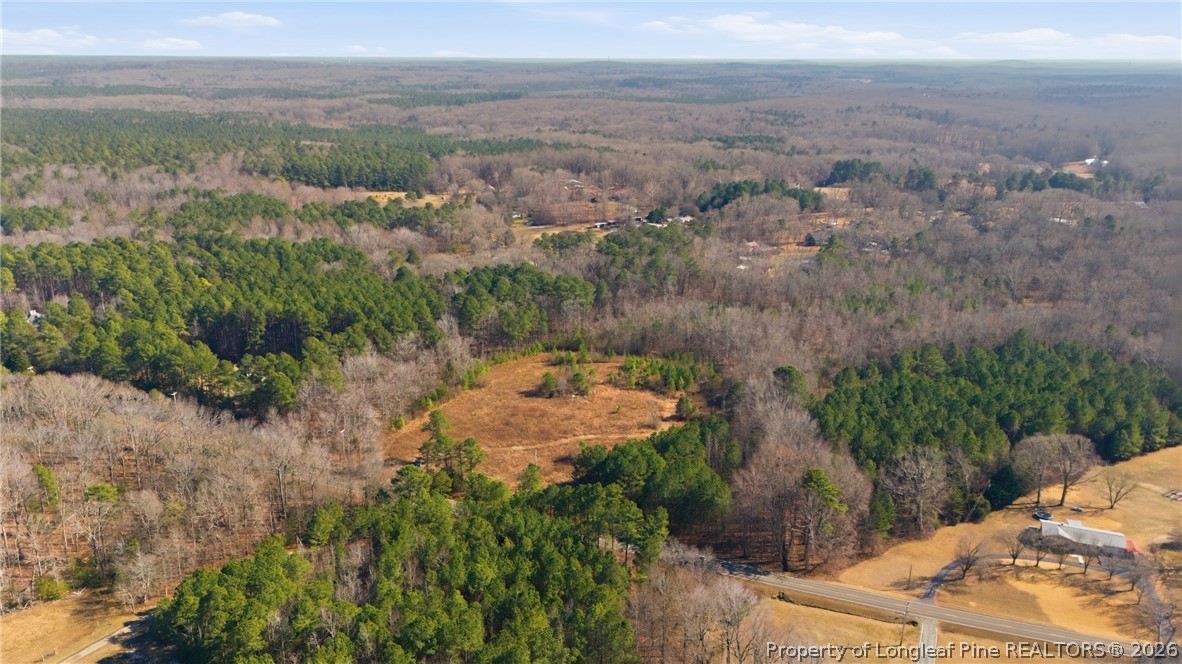 1600 Mt Willing Road Efland, NC 27243 - Photo 12 of 31