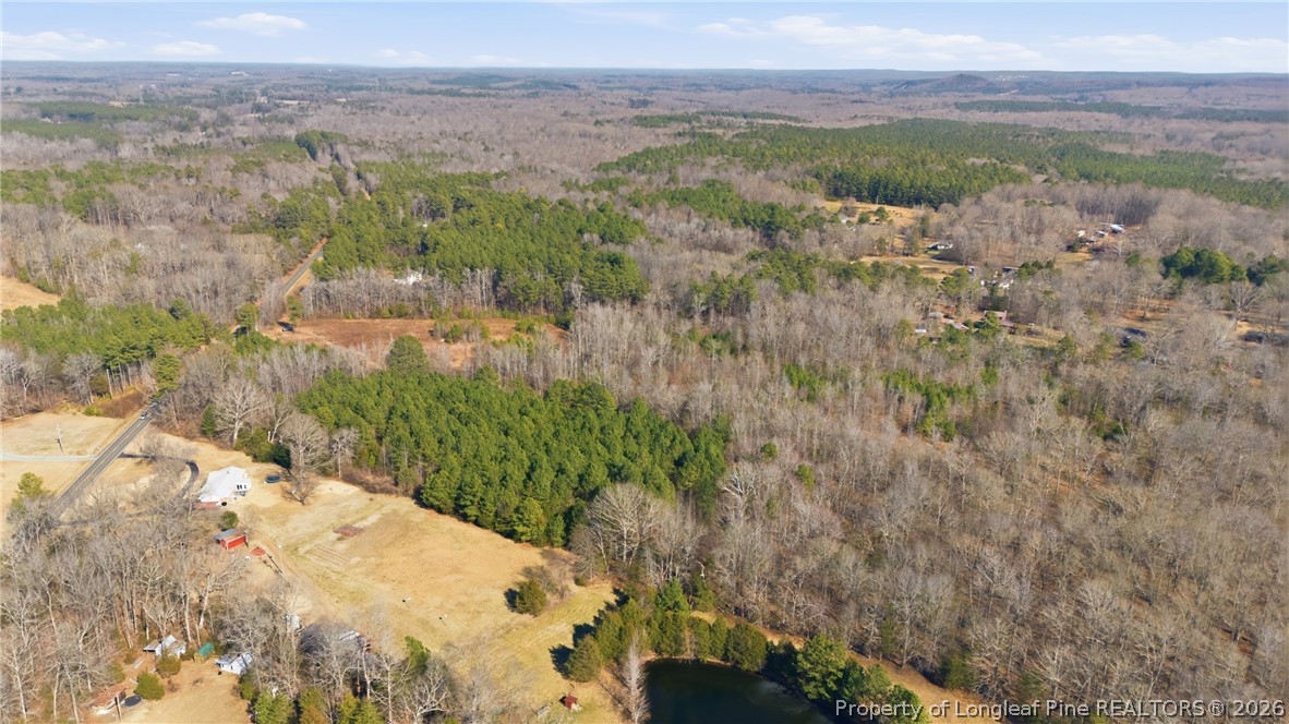 1600 Mt Willing Road Efland, NC 27243 - Photo 14 of 31 a view of a yard with an outdoor space