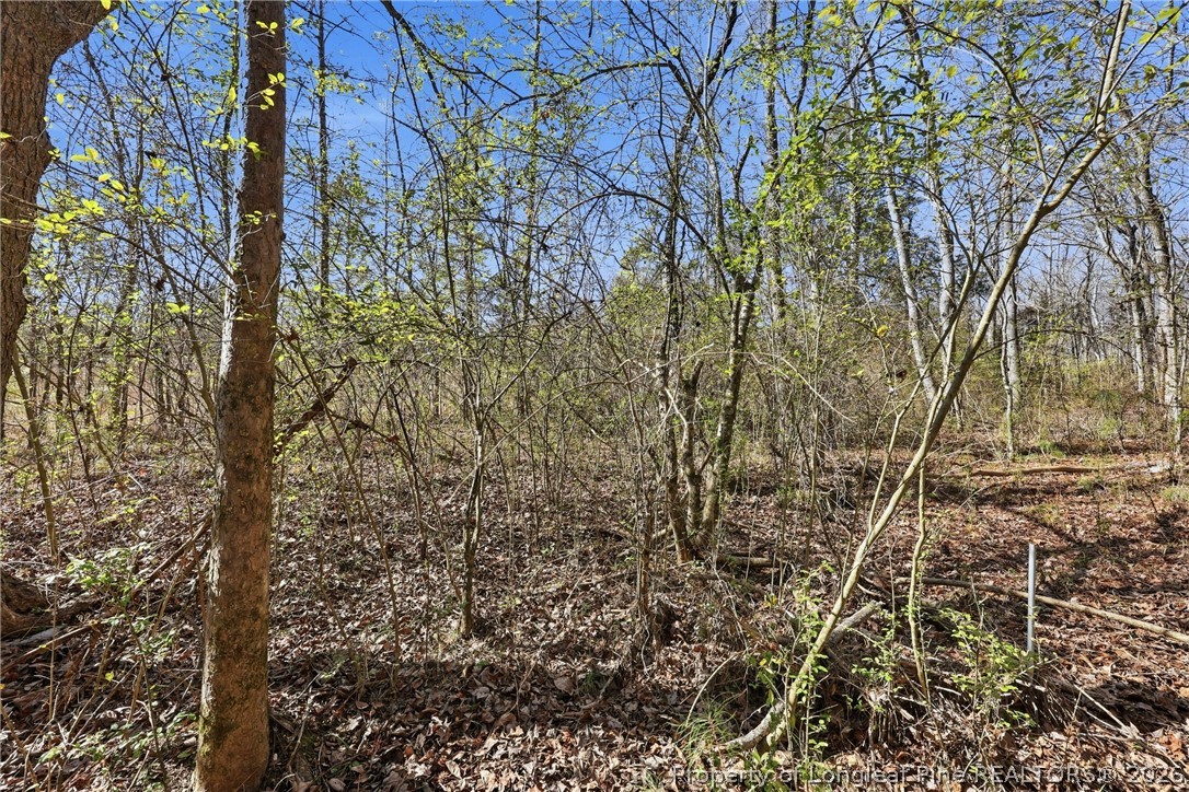 1600 Mt Willing Road Efland, NC 27243 - Photo 15 of 31 a view of a yard