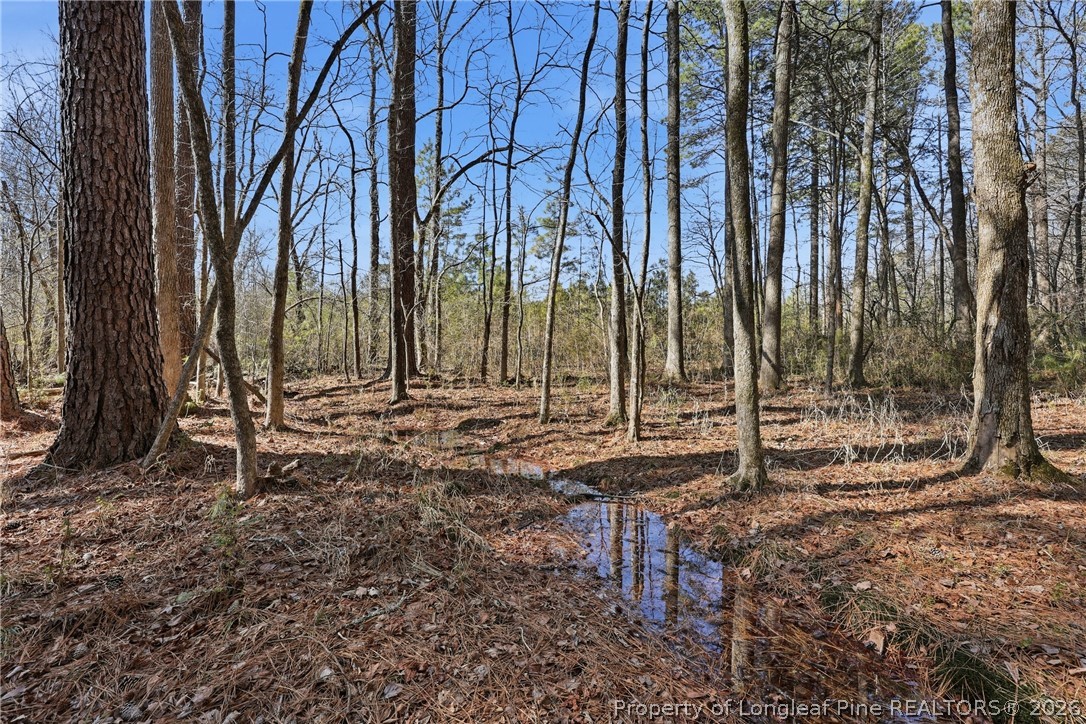 1600 Mt Willing Road Efland, NC 27243 - Photo 16 of 31 a view of outdoor space with lots of trees