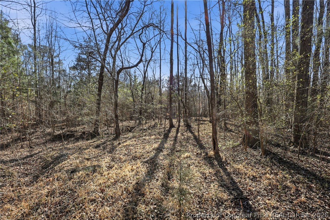 1600 Mt Willing Road Efland, NC 27243 - Photo 17 of 31 a view of backyard with green space