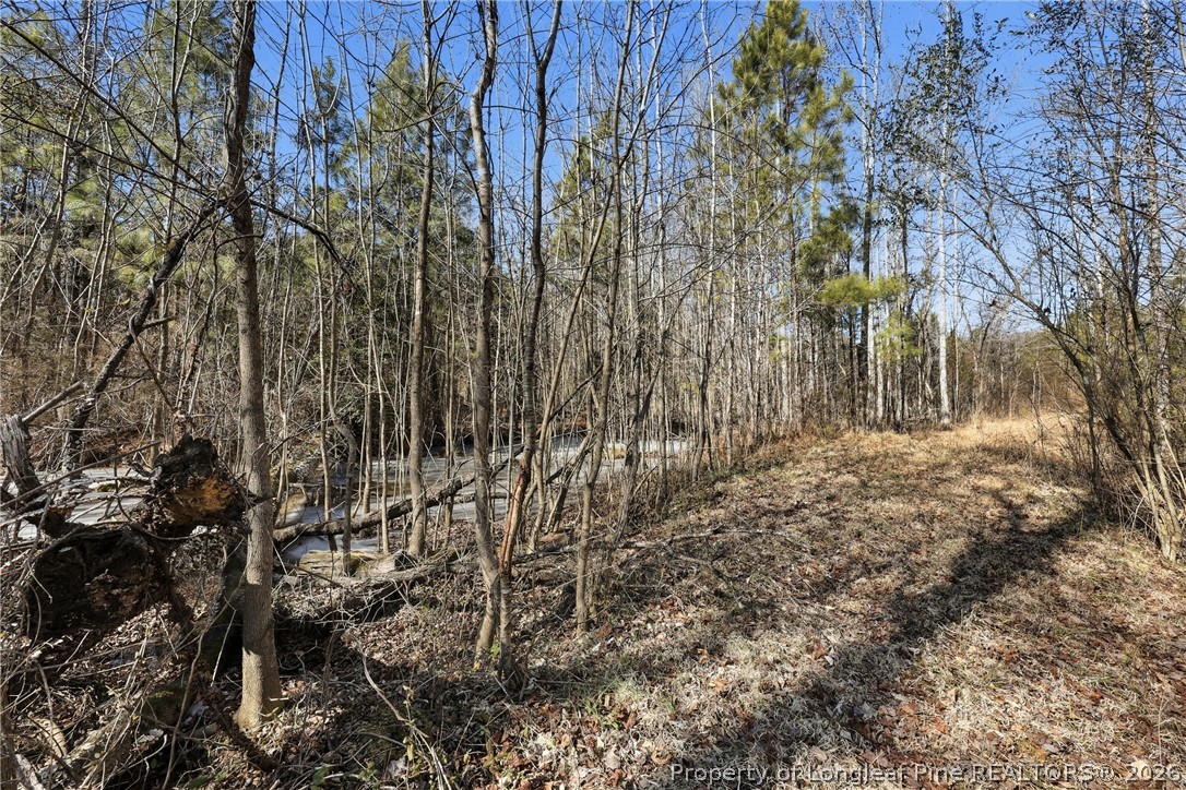 1600 Mt Willing Road Efland, NC 27243 - Photo 20 of 31 a view of backyard with wooden fence