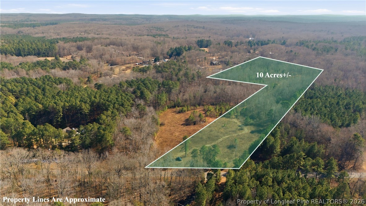 1600 Mt Willing Road Efland, NC 27243 - Photo 2 of 31 an aerial view of a house