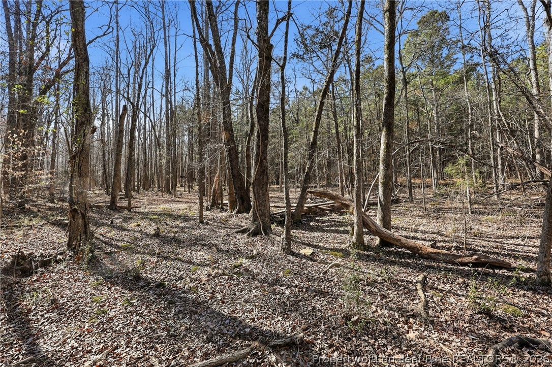 1600 Mt Willing Road Efland, NC 27243 - Photo 22 of 31 a view of house with a backyard