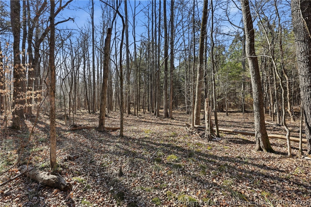 1600 Mt Willing Road Efland, NC 27243 - Photo 23 of 31 a view of a backyard