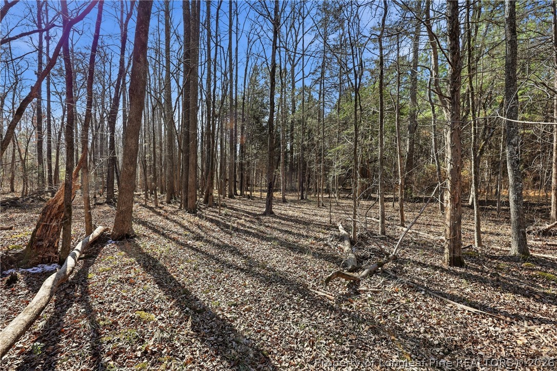1600 Mt Willing Road Efland, NC 27243 - Photo 24 of 31 a view of a backyard with trees