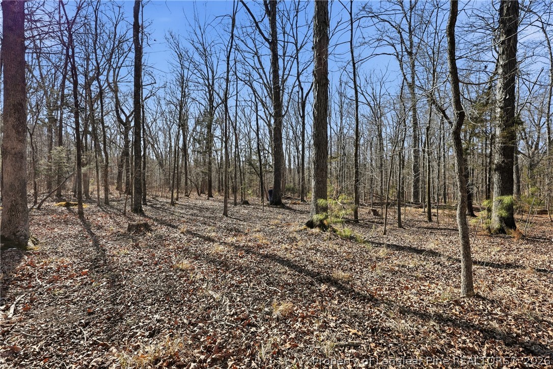 1600 Mt Willing Road Efland, NC 27243 - Photo 25 of 31 a view of a backyard with large trees