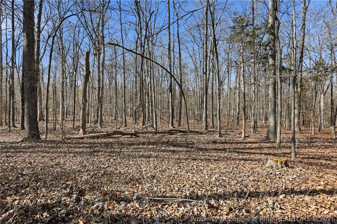 1600 Mt Willing Road Efland, NC 27243 - Photo 26 of 31 a view of a backyard of the house