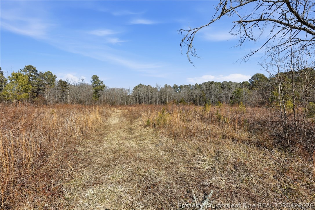 1600 Mt Willing Road Efland, NC 27243 - Photo 28 of 31 a view of mountain with trees in the background