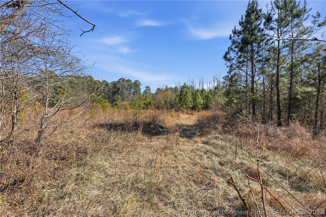 1600 Mt Willing Road Efland, NC 27243 - Photo 29 of 31 a view of a yard with a tree