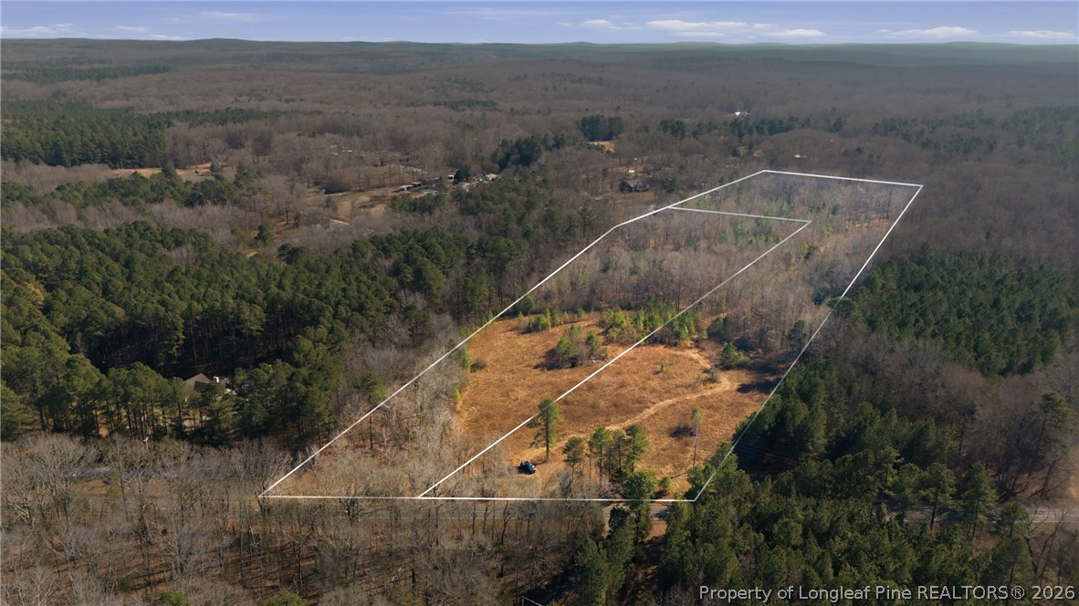 1600 Mt Willing Road Efland, NC 27243 - Photo 30 of 31 an aerial view of a house with a yard