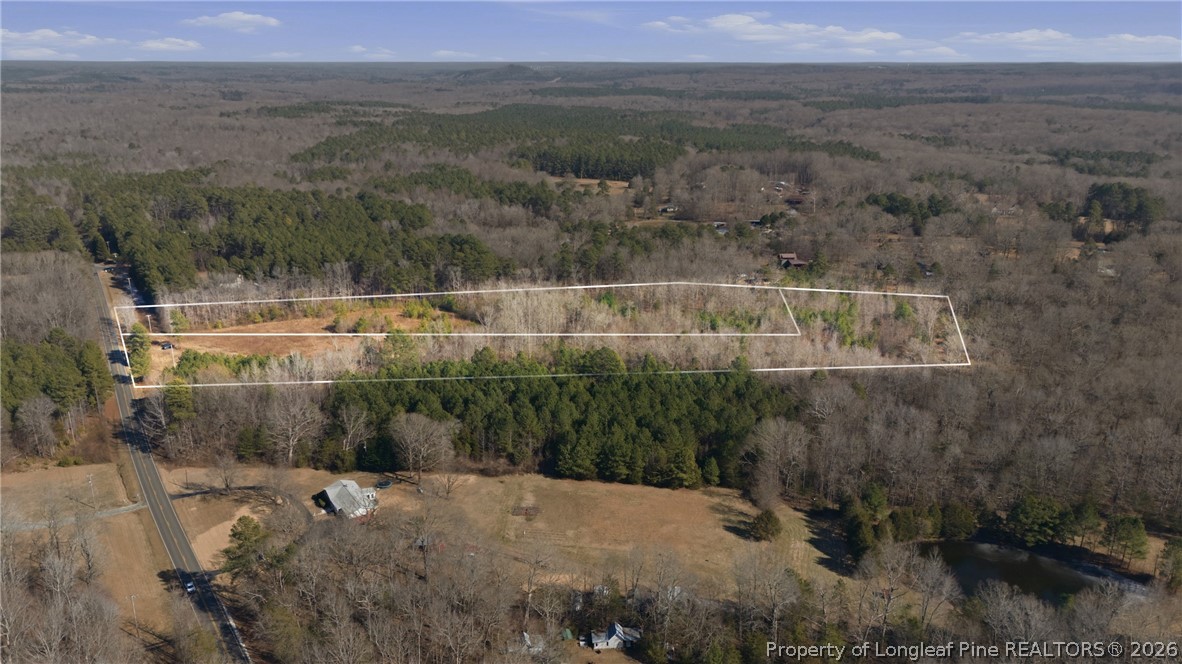 1600 Mt Willing Road Efland, NC 27243 - Photo 31 of 31 a view of a forest