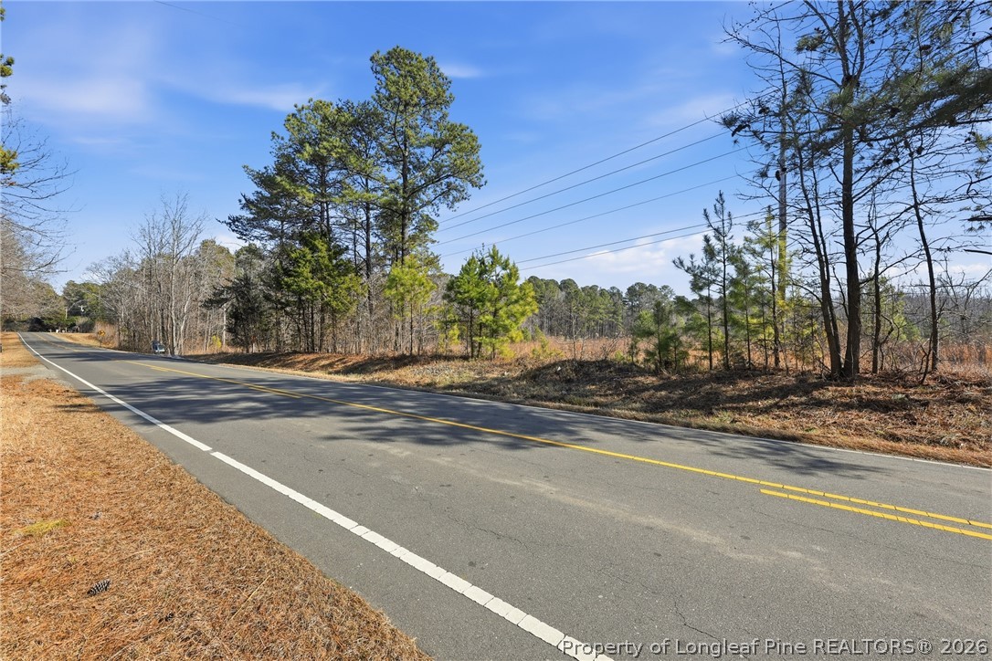 1600 Mt Willing Road Efland, NC 27243 - Photo 4 of 31 a view of street along with trees
