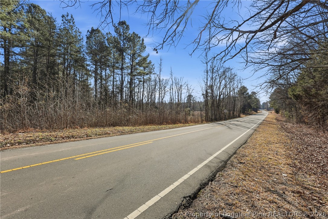 1600 Mt Willing Road Efland, NC 27243 - Photo 5 of 31 a view of a yard with wooden fence