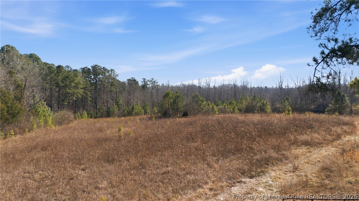 1600 Mt Willing Road Efland, NC 27243 - Photo 6 of 31 a view of an outdoor space with green space