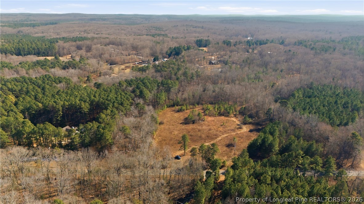 1600 Mt Willing Road Efland, NC 27243 - Photo 7 of 31 an aerial view of mountain with trees around