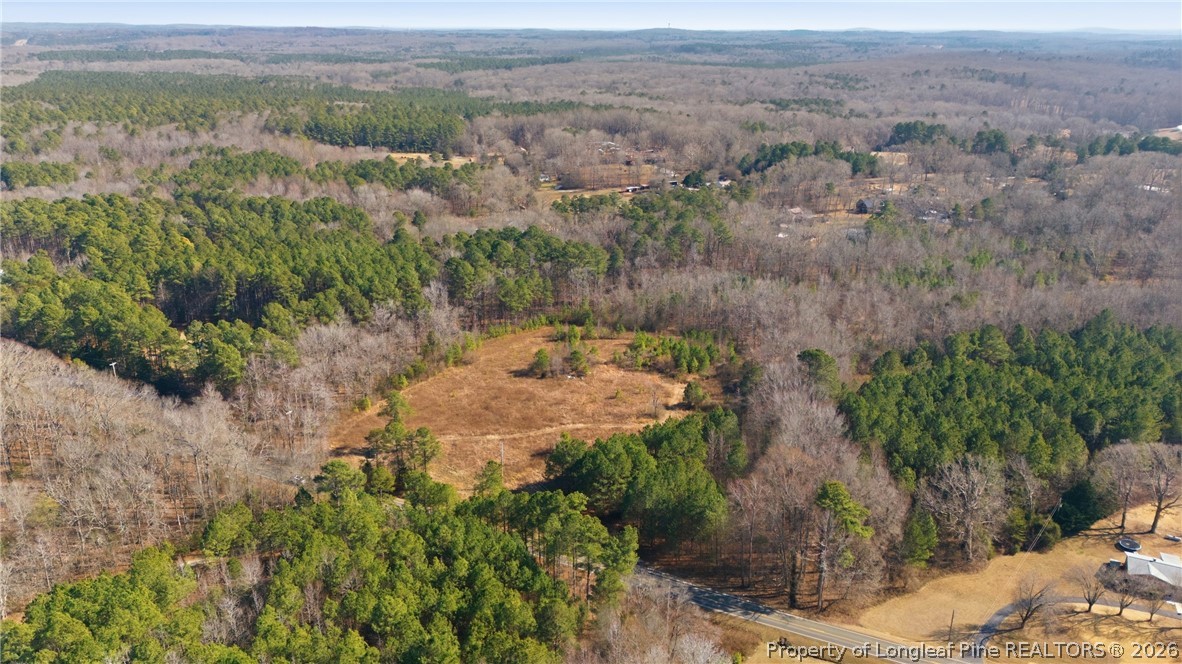 1600 Mt Willing Road Efland, NC 27243 - Photo 8 of 31 an aerial view of mountain with trees around