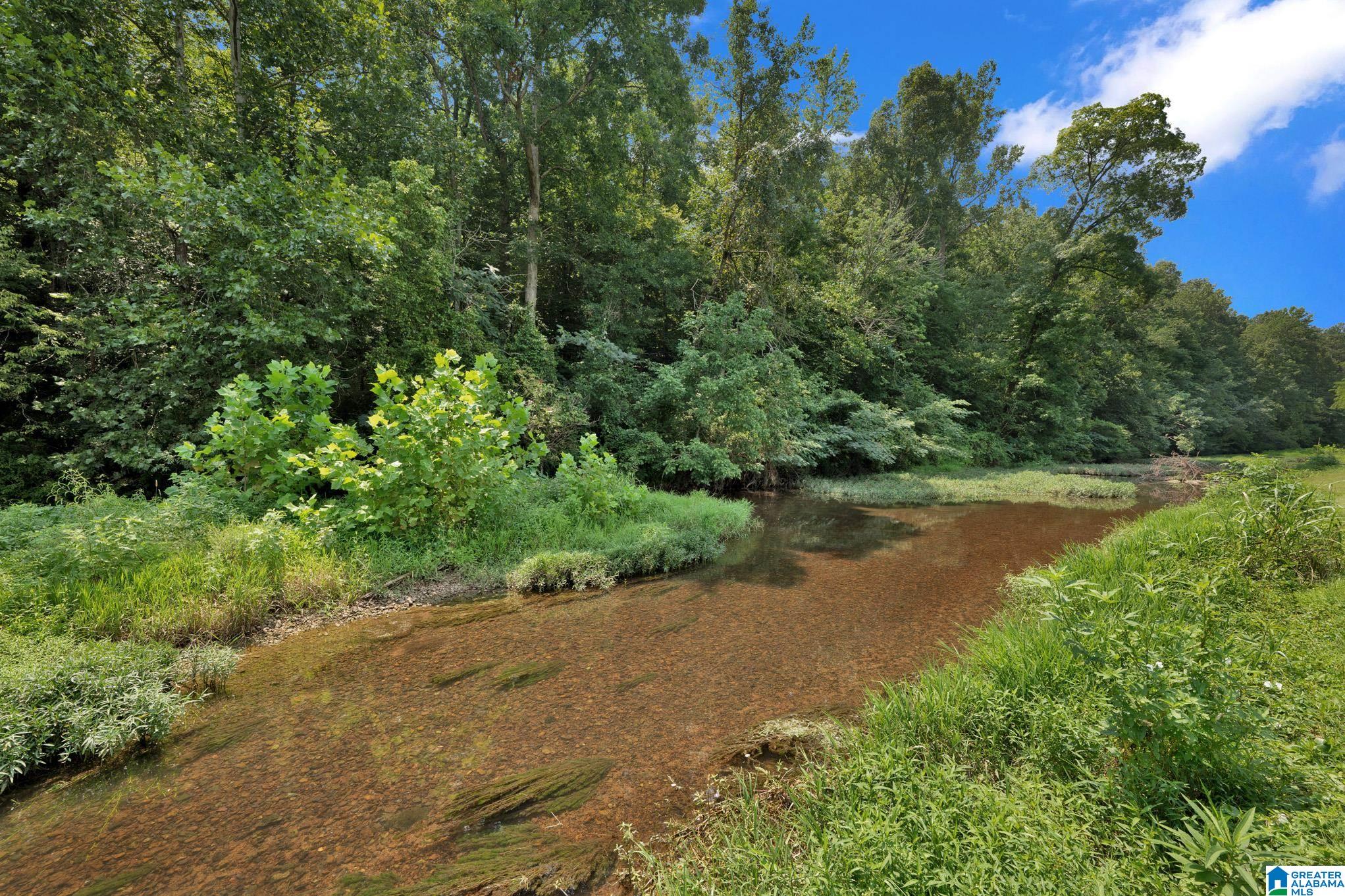 6539 Spring Street Trussville, AL 35173 - Photo 45 of 56