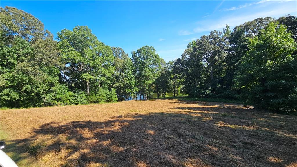 Lot 2 Snote Jones Road Dallas, GA 30132 - Photo 21 of 22 Gallery Image 21