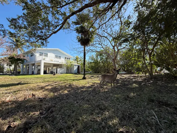 a view of backyard with green space