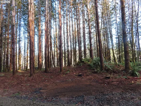 a view of outdoor space with lots of trees