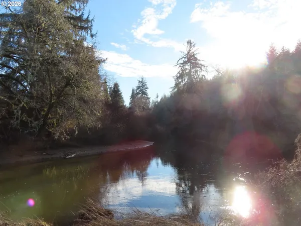 a view of a lake in middle of forest