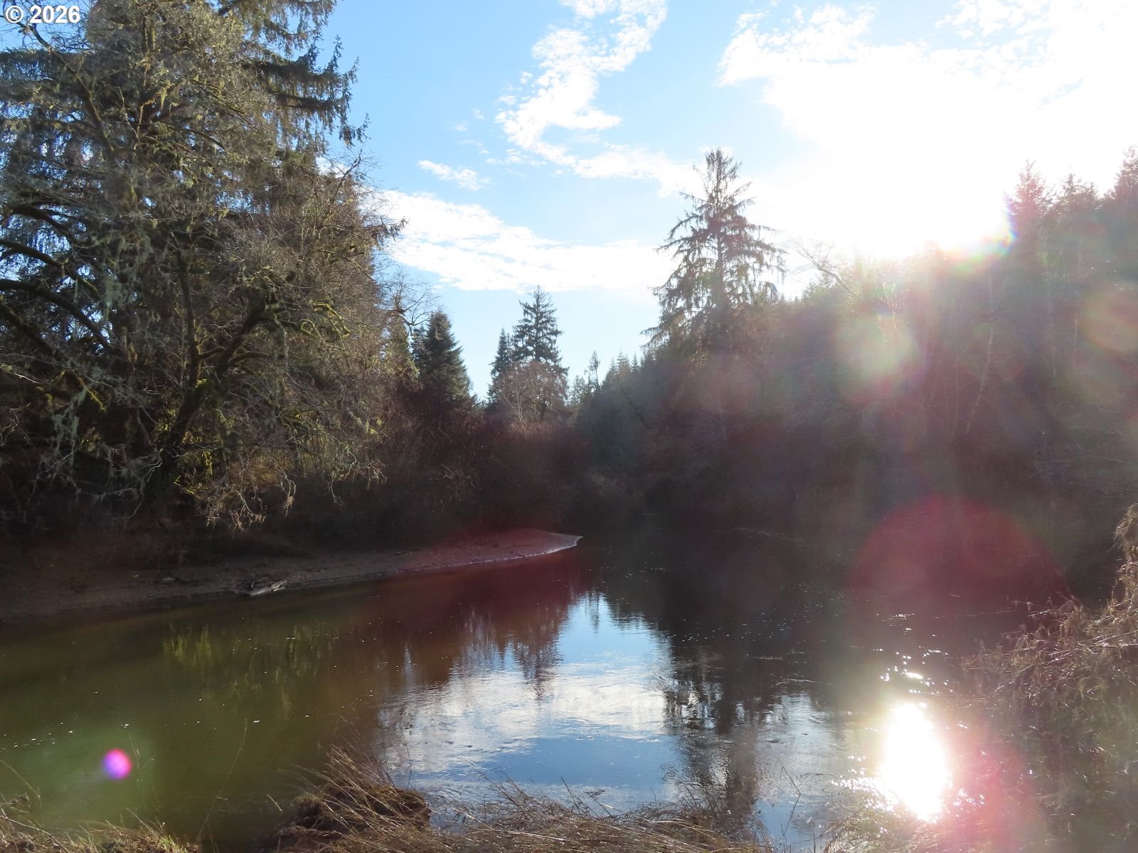 2431 North River Road Cosmopolis, WA 98537 - Photo 21 of 27 a view of a lake in middle of forest