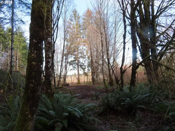 a view of outdoor space and garden
