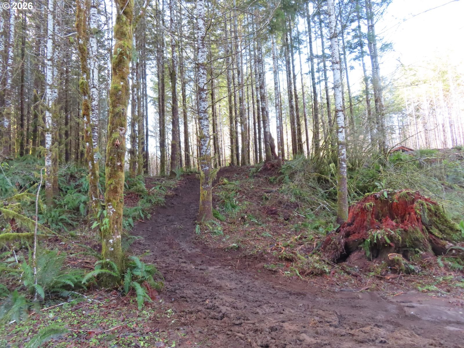 2431 North River Road Cosmopolis, WA 98537 - Photo 24 of 27 a view of outdoor space and green space