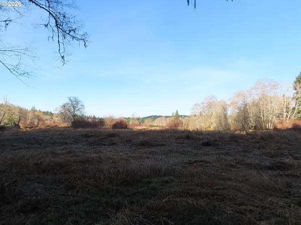 a view of a park