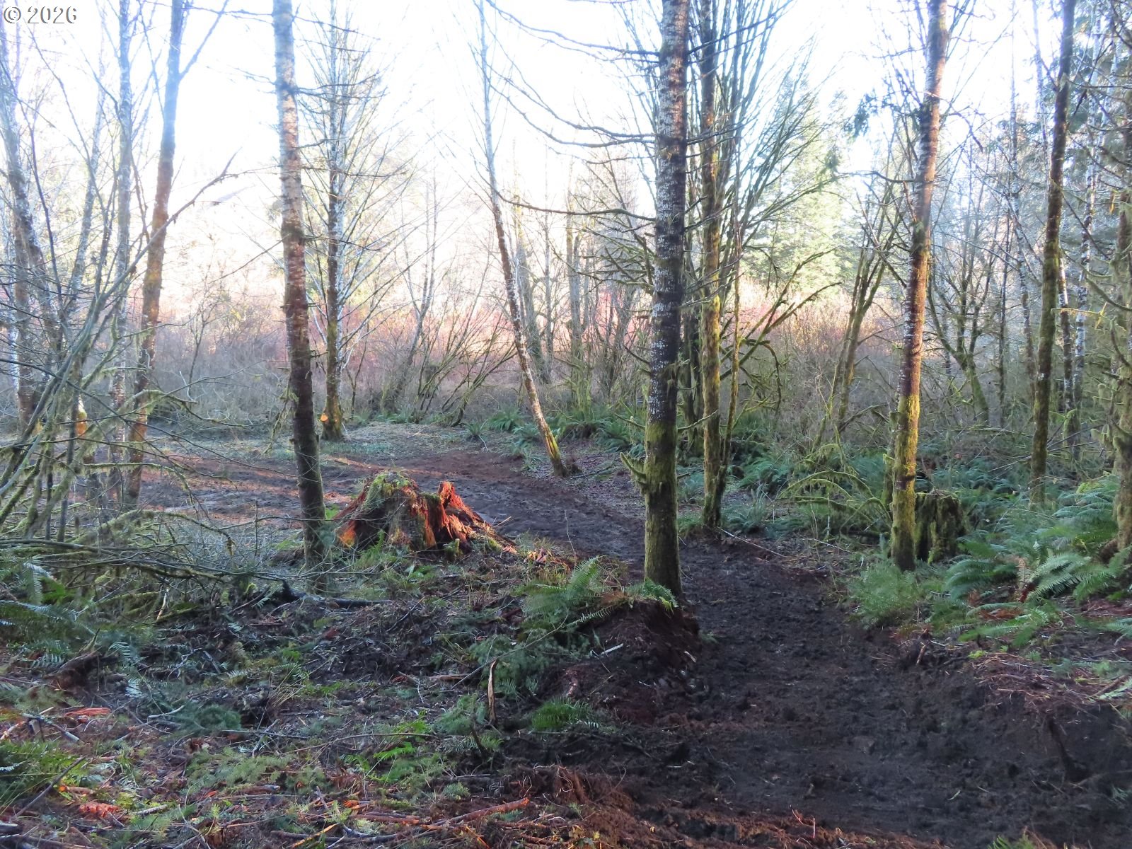 2431 North River Road Cosmopolis, WA 98537 - Photo 26 of 27 a view of a park