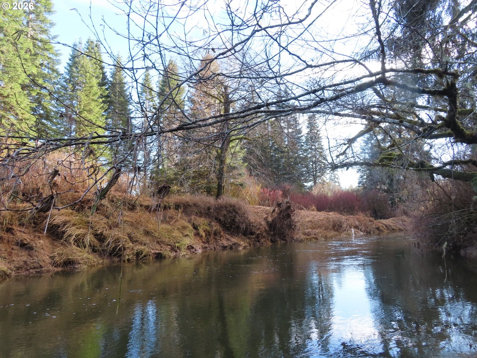 2431 North River Road Cosmopolis, WA 98537 - Photo 4 of 27 a backyard of a house with lots of green space