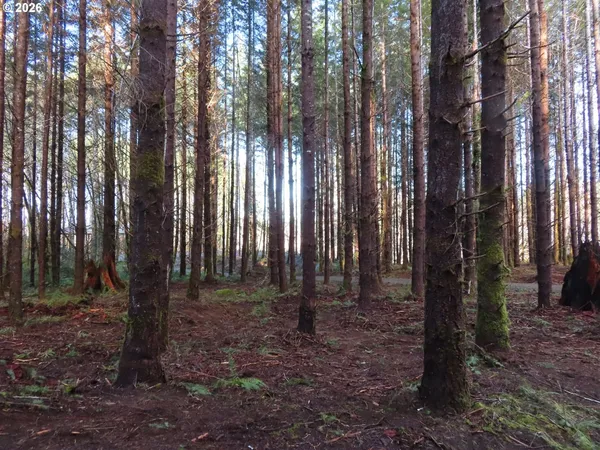 a view of outdoor space with lots of trees
